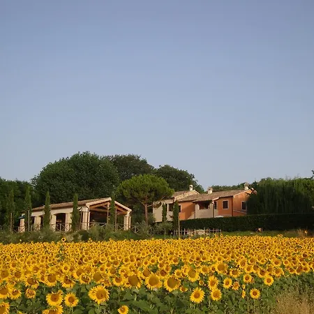 Farm stay Rustico Del Conero Camerano