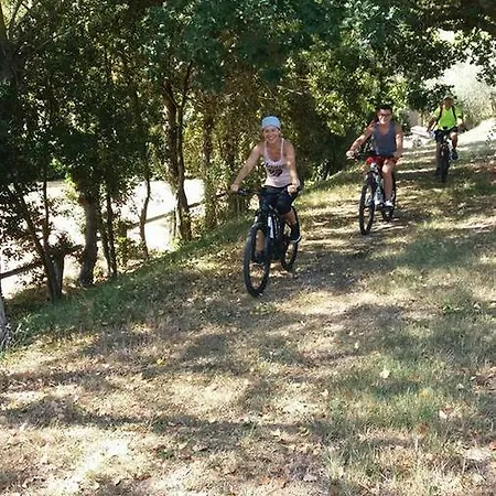 Alloggio per agriturismo Rustico Del Conero *