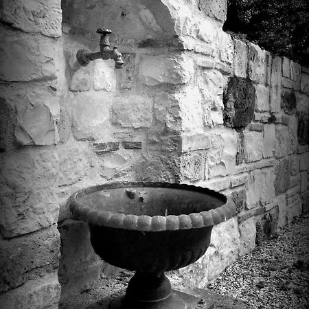 Rustico Del Conero * Camerano