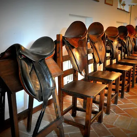 Rustico Del Conero Camerano