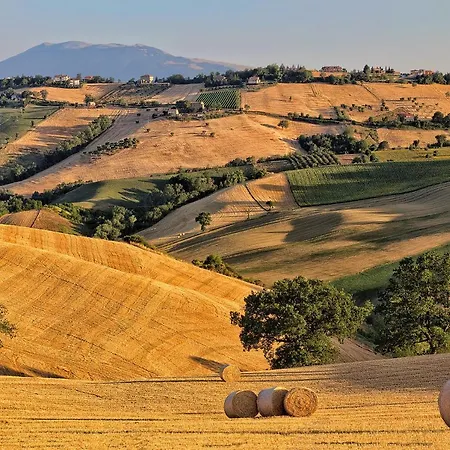 Rustico Del Conero Farm stay Camerano