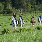Rustico Del Conero