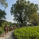 Rustico Del Conero