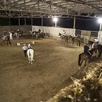 مزرعة للإقامة Rustico Del Conero كاميرانو