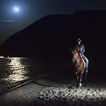 Rustico Del Conero مزرعة للإقامة كاميرانو