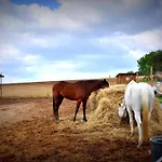 مزرعة للإقامة Rustico Del Conero كاميرانو