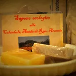 Rustico Del Conero
