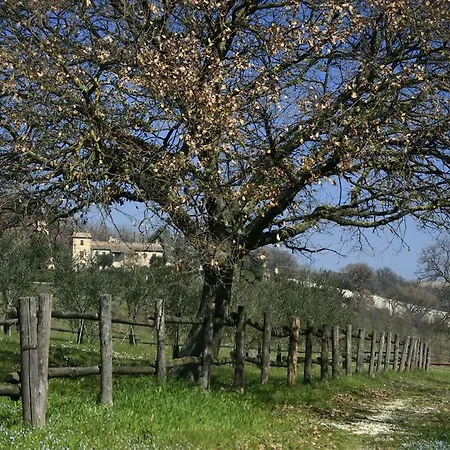 Rustico Del Conero Farm stay