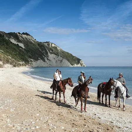 Rustico Del Conero Camerano