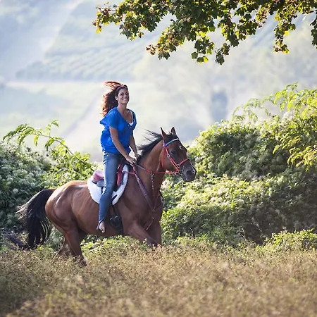 Farm stay Rustico Del Conero