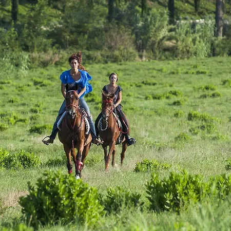 Alloggio per agriturismo Rustico Del Conero Camerano