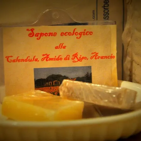 Rustico Del Conero