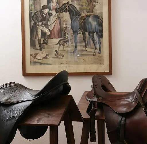 Farm stay Rustico Del Conero Camerano