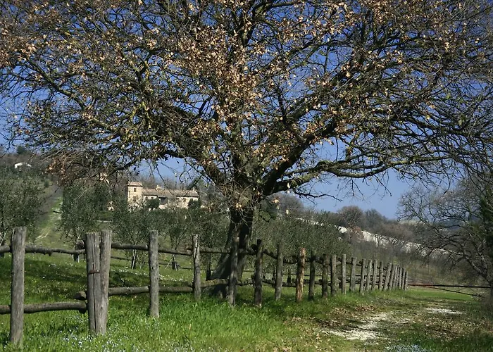 Rustico Del Conero Alloggio per agriturismo
