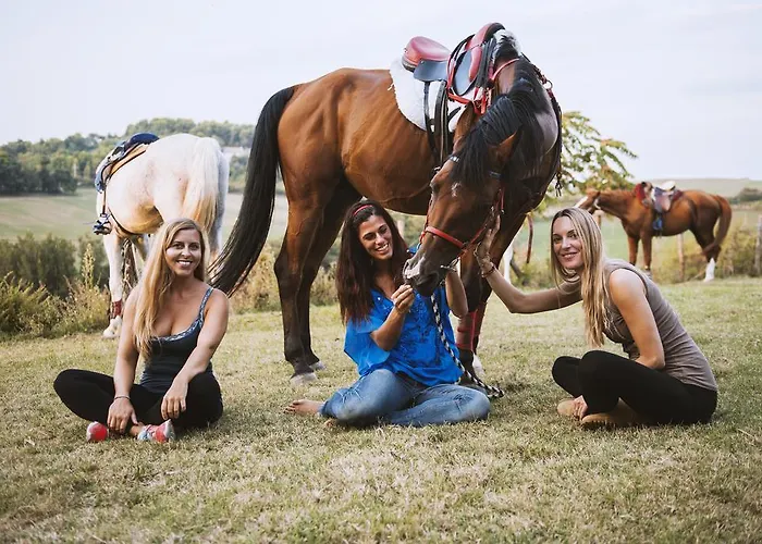 Rustico Del Conero *