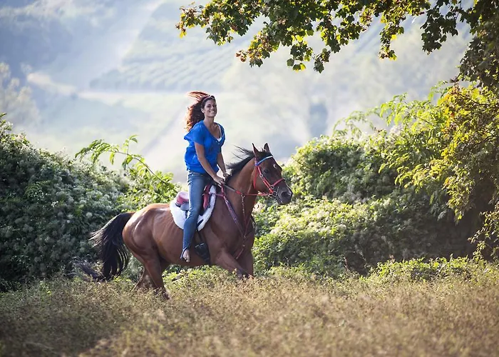 Alloggio per agriturismo Rustico Del Conero