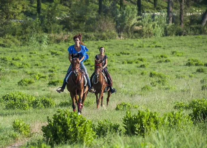 Farm stay Rustico Del Conero Camerano