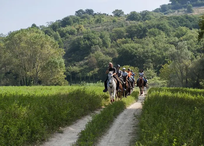 Rustico Del Conero Camerano