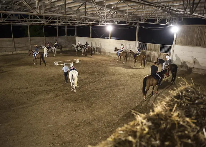 Farm stay Rustico Del Conero Camerano