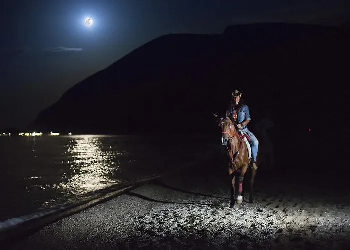 Rustico Del Conero Farm stay Camerano