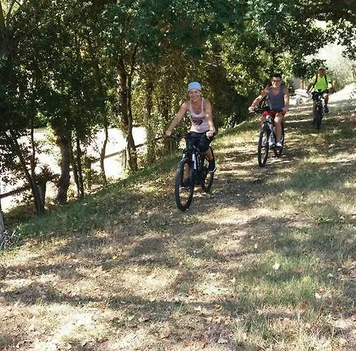 Alloggio per agriturismo Rustico Del Conero *