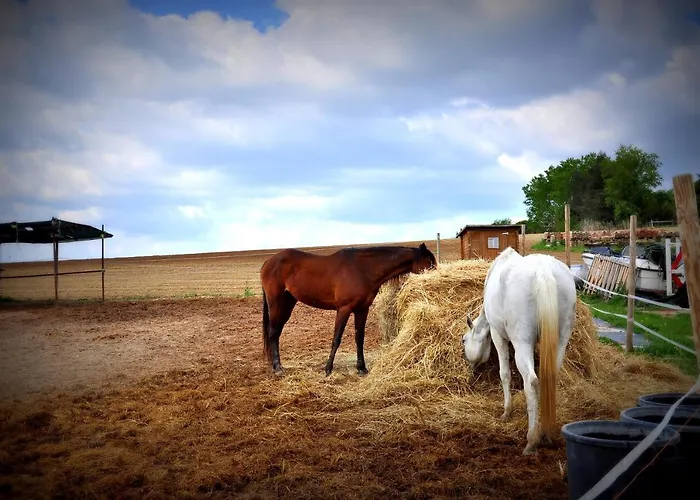Farm stay Rustico Del Conero Camerano