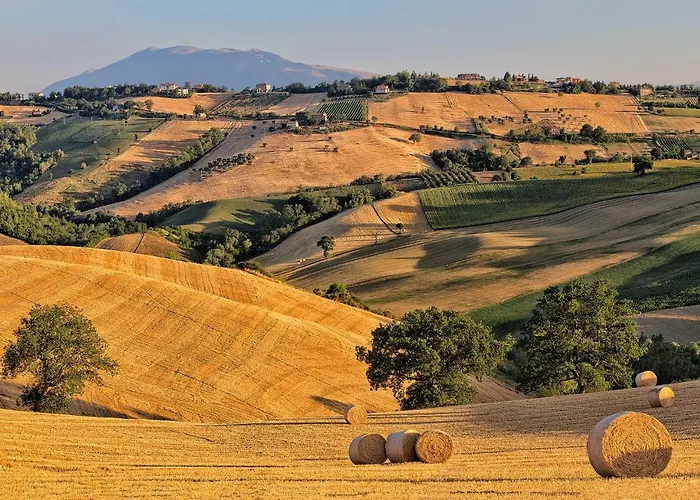 Rustico Del Conero Farm stay Camerano